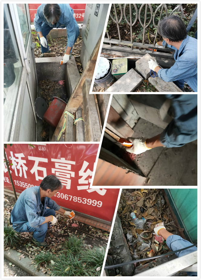 耀世娱乐市场开展冬季灭鼠